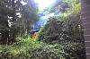 07-06-08_1756.jpg