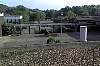 07-06-08_1807.jpg
